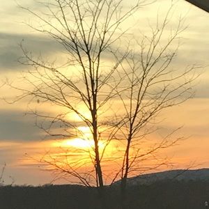 Meet your Posher, Trina